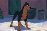 Buster had a crush on Lady?