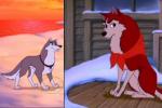 Dusty may have wolf genes