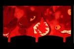 Vid�os de Le Roi Lion 3 : Hakuna Matata