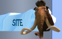 Site