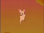 Image Bartok le Magnifique