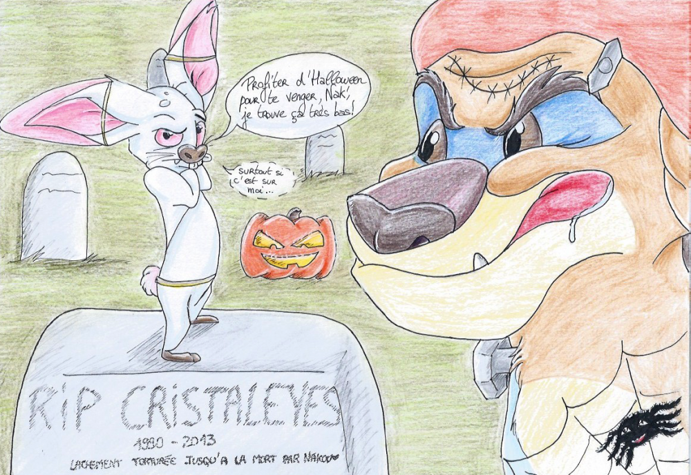 Projet surprise - Cristaleyes