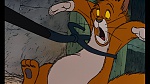 The AristoCats picture