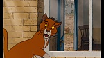 Image Les Aristochats