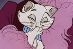 Pr�sentation g�n�rale de Les Aristochats