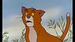 Image The AristoCats