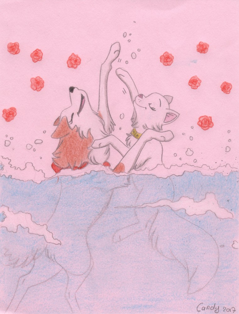 Les jeux aquatiques