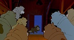 Balto
