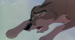 Balto picture