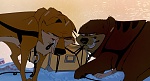 Balto picture