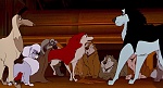 Balto picture