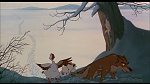 Balto picture Balto picture