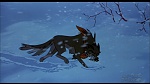 Balto picture
