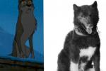 The Faults in the Balto Trilogy 