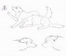 Kricket's pack