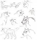 Dogz