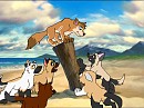 Pack puppies