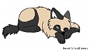 lil Bweezy Wheezy :3 