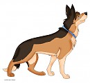 Chala as a german shepherd 