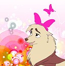 Dandi.:DDD