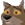 :icon374: