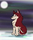 Little Kodi ^^