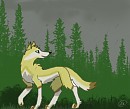 Free in the Rain
