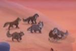 Kodi and Dusty: A couple or not?