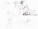 Doodles