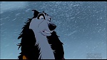 Balto picture