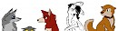 iscribble junk