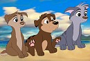 The Nik family