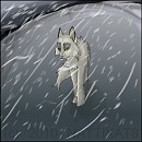 Storm