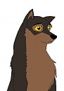 Qiu 4 Cat