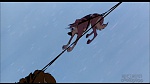 Balto