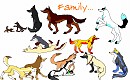 Pack Activities-Family