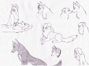 Doodles =3