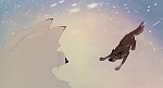 Balto