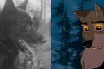 The true points in the Balto movie