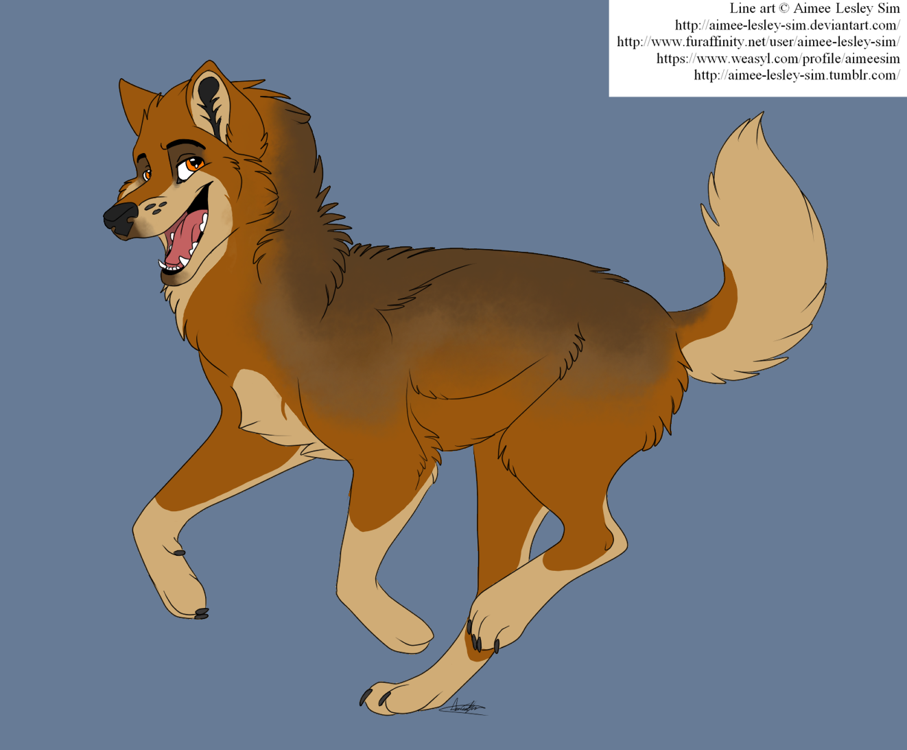 darralcoyote.png