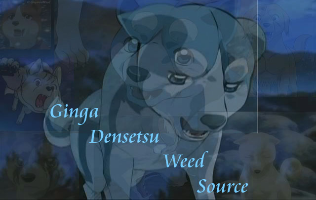 gdw_source.jpg