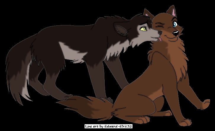 jamia_and.png