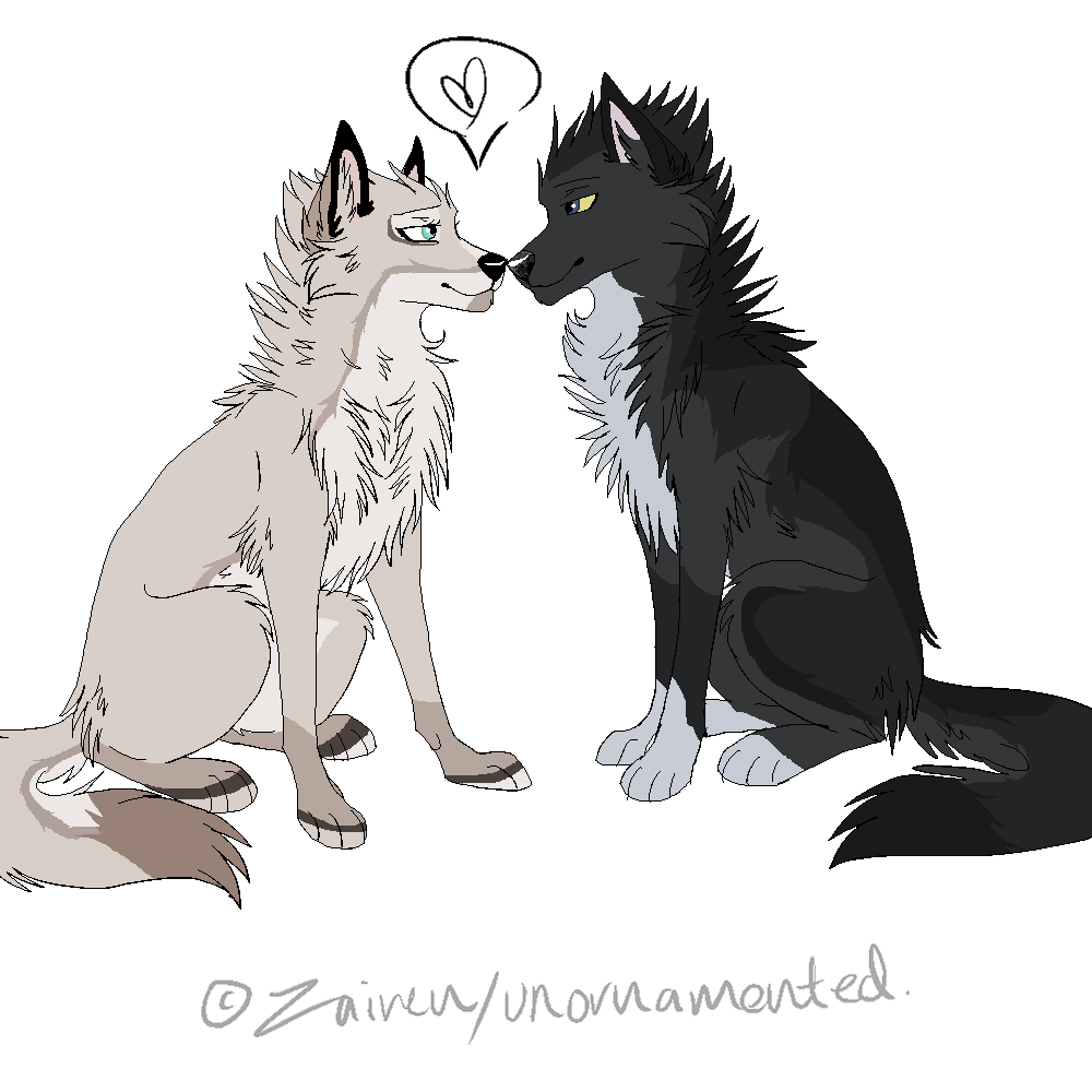 echo_and_black_wolf.png