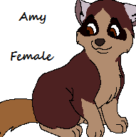 pic_detail531676585ba11.png