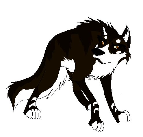 _c_a.kipps.png