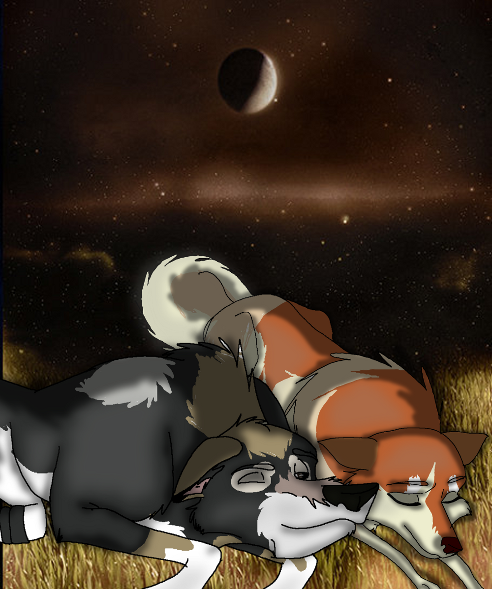 nighttime.png