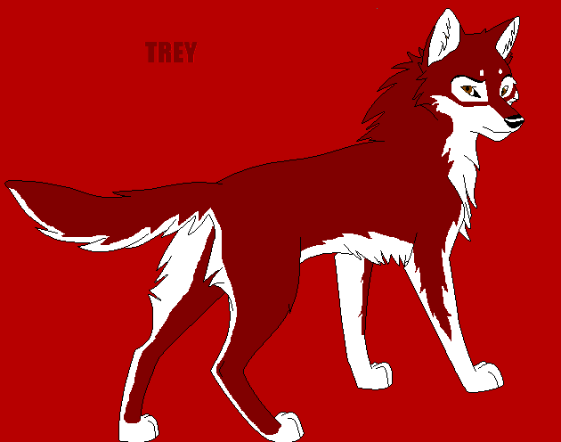 trey.png