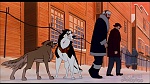 Balto picture Balto picture