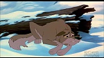 Balto picture