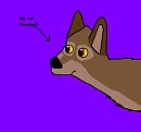 Balto! (My First Drawing)